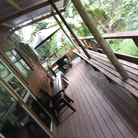 Yellowwood Forest Eco Retreat Morgan's Bay Exteriör bild
